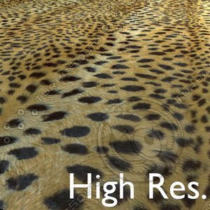 Leopard Texture High Resolution.JPG
