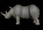 3ds max african black rhino