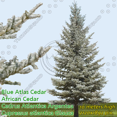  https://static.turbosquid.com/Preview/2019/10/04__17_54_41/01.jpg99141FC4-FC00-44C6-87D0-0D1DA9840A14Default.jpg