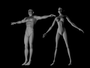 generic male female bodies 3d model