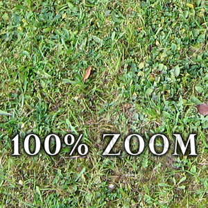 High resolution Grass ground 01