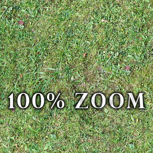 Medium resolution Grass ground 01