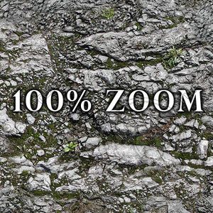 Medium resolution Rocky ground with moss and grass + Bump Map