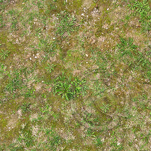 Very High resolution Grass ground 02