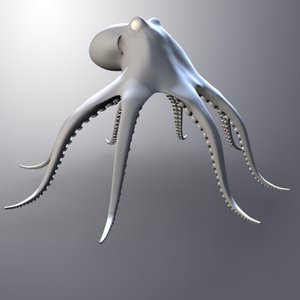 octopus 3d model
