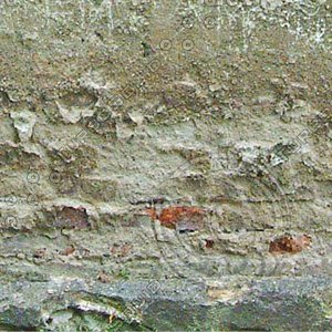 wall_194_2048x1200_tileable.jpg