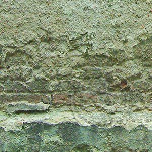 wall_195_2048x1200_tileable.jpg