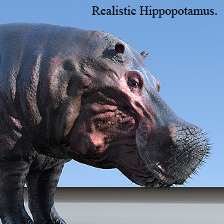 3d model hippo realistic