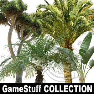 collection_palm_01_p_01