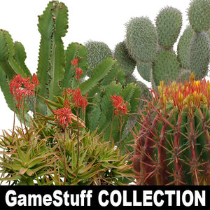 Collection_cactus_p_01