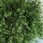 shrubs vol3 3d max