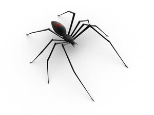 3d black widow spider skeleton model