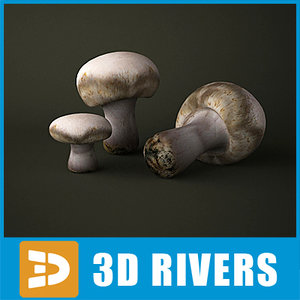 3d model button mushroom