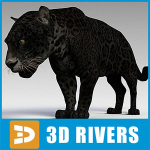 panther cats 3d model