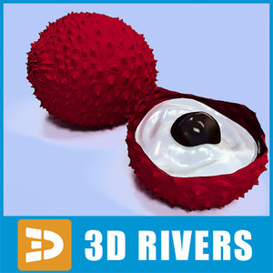 3ds lychee fruit