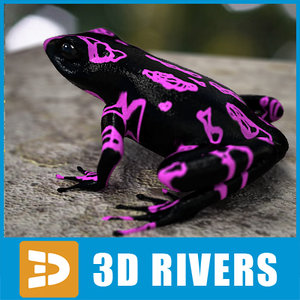 atelopus frog 3d model