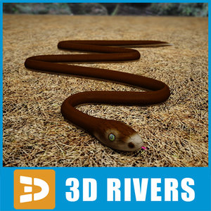 black mamba snakes 3d model