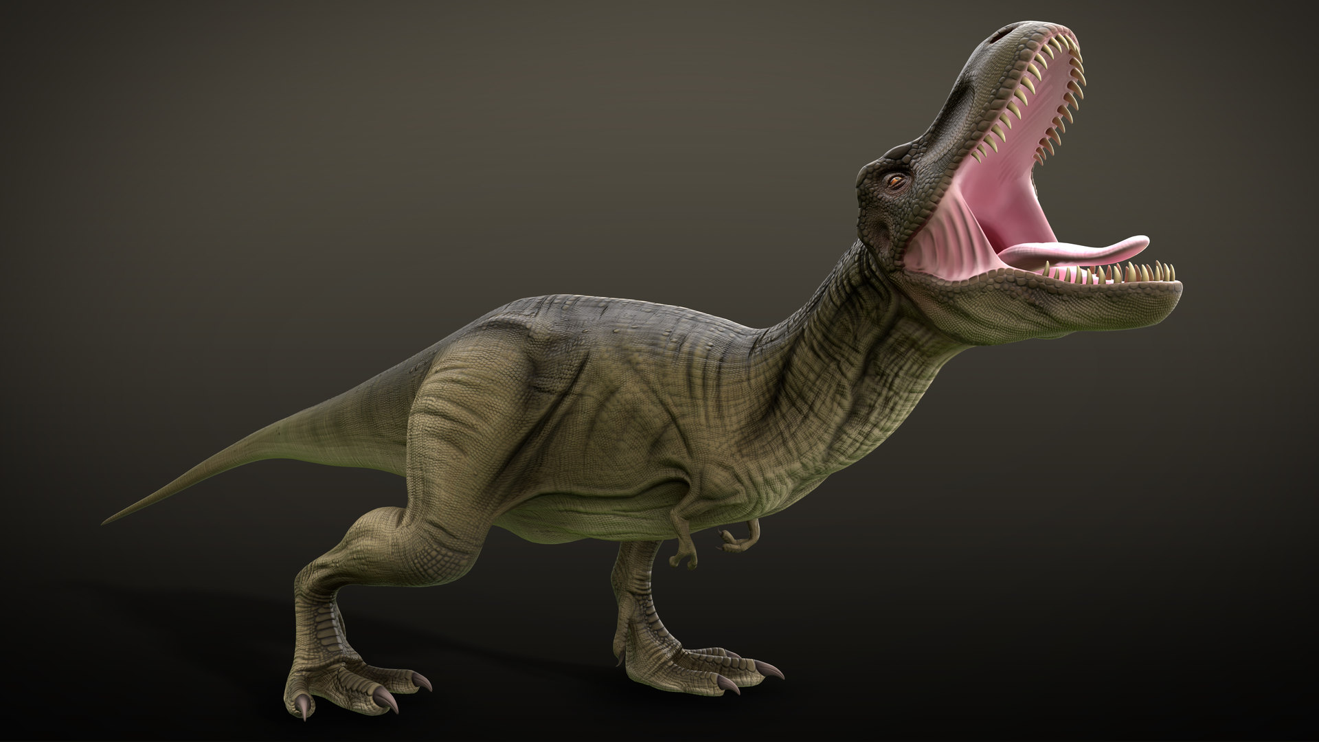 Rex rigged 3D TurboSquid 1455994