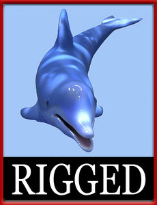 dolphin rigged 3d x