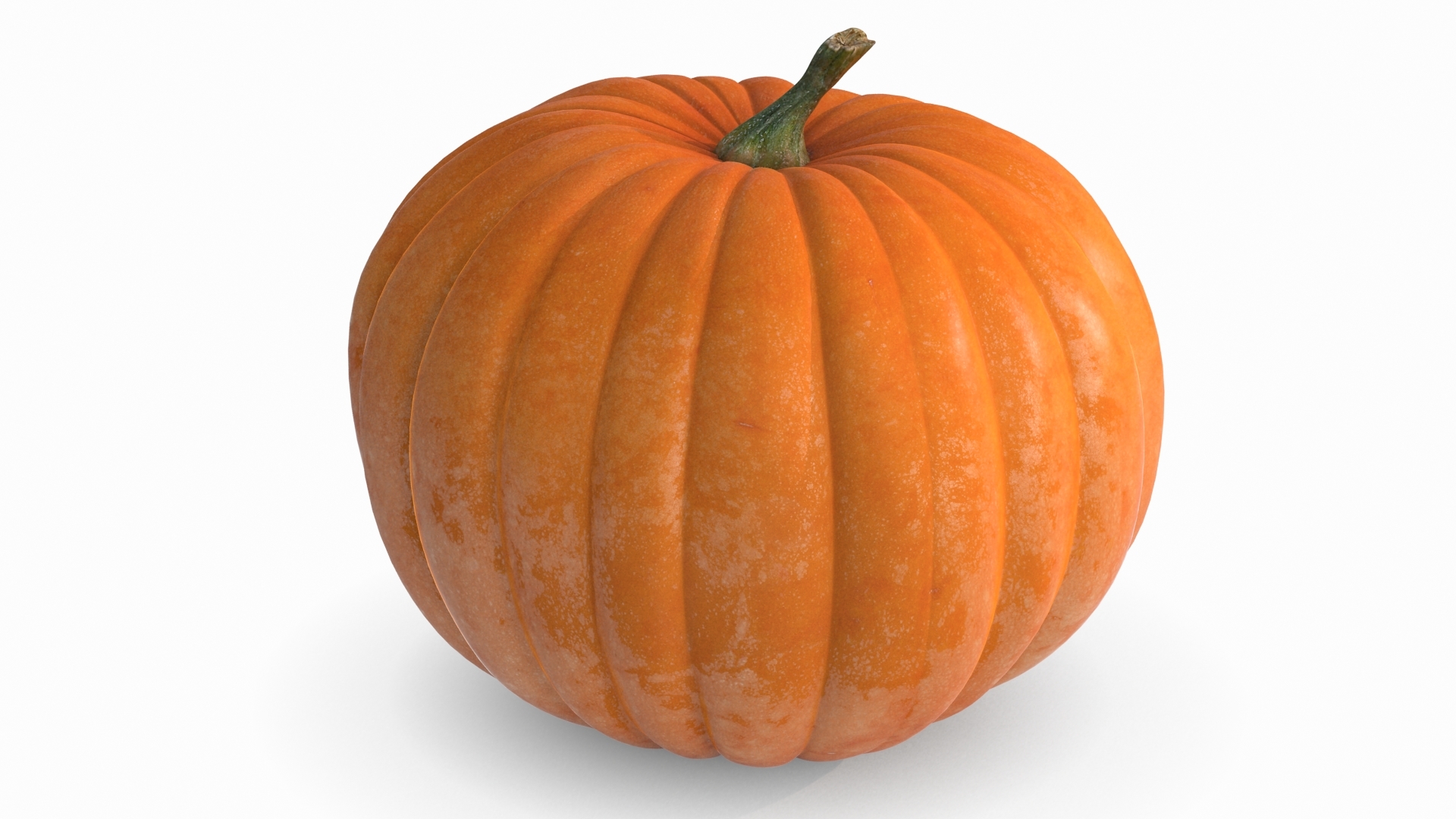 pumpkin 5 scan 3d model