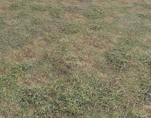 Ground terrain grass PBR pack 5