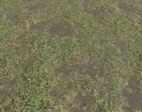 Texture Png Ground Pbr Grass