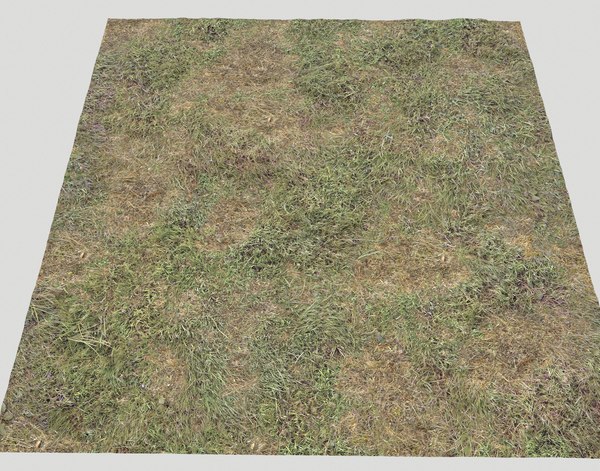 Texture PNG ground pbr grass