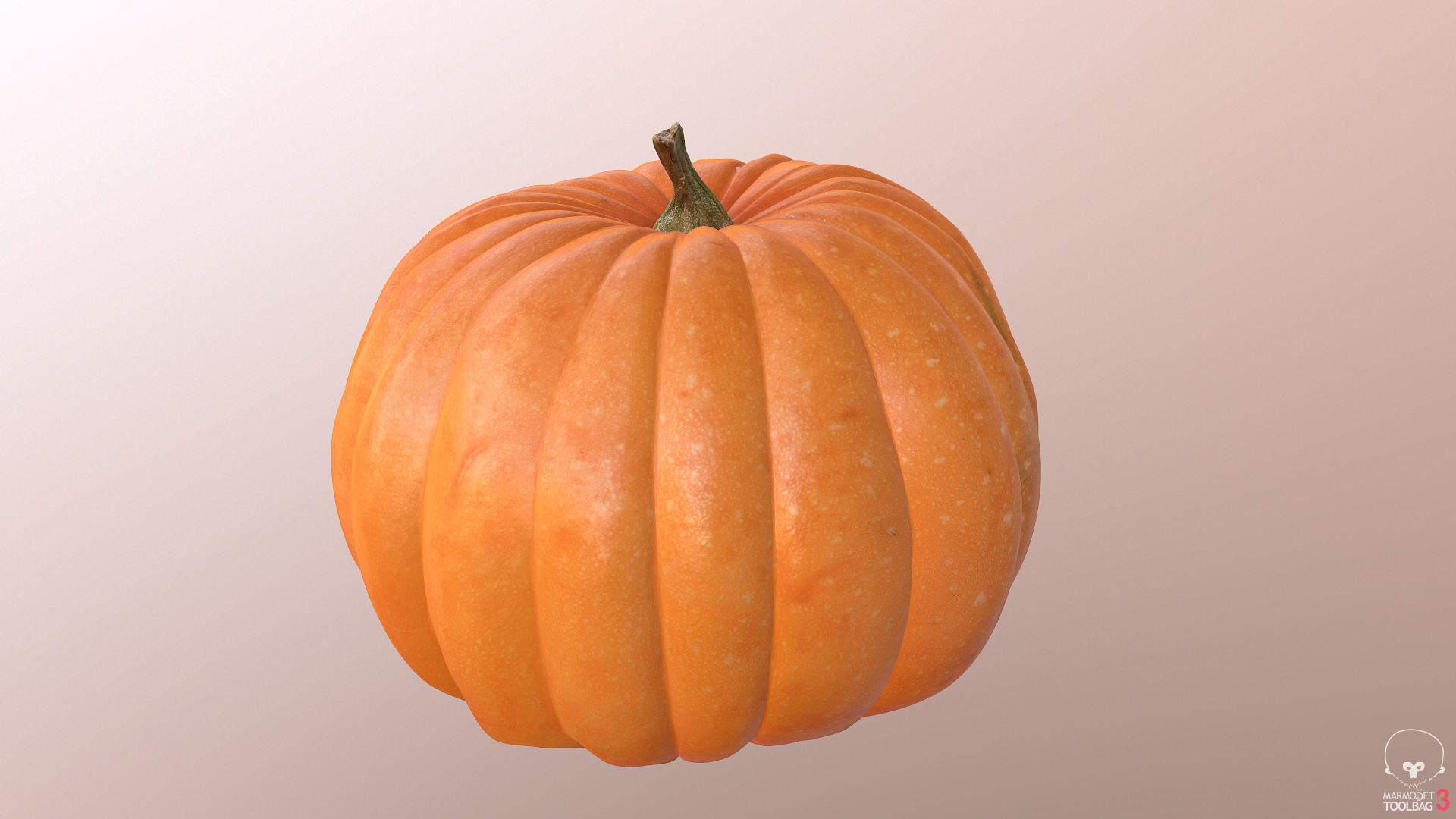 pumpkin 5 scan 3d model