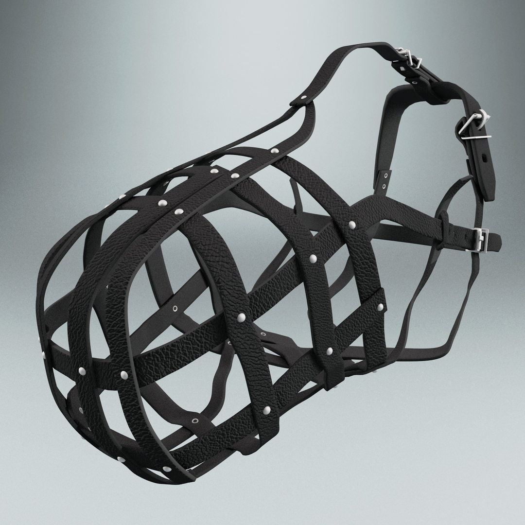 3d dog muzzle v4 model