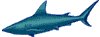 shark.gif