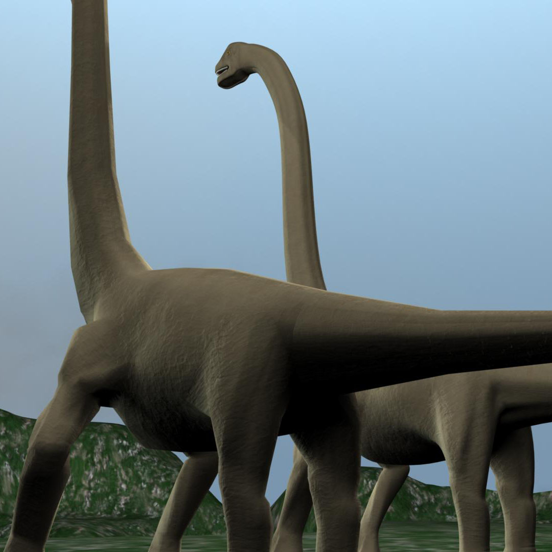 the brachiosaurus