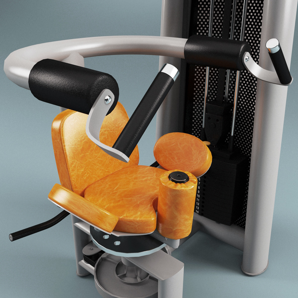 max rotary torso machine