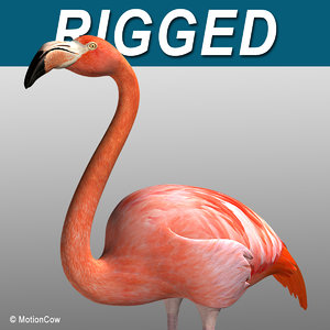 max realistic flamingo