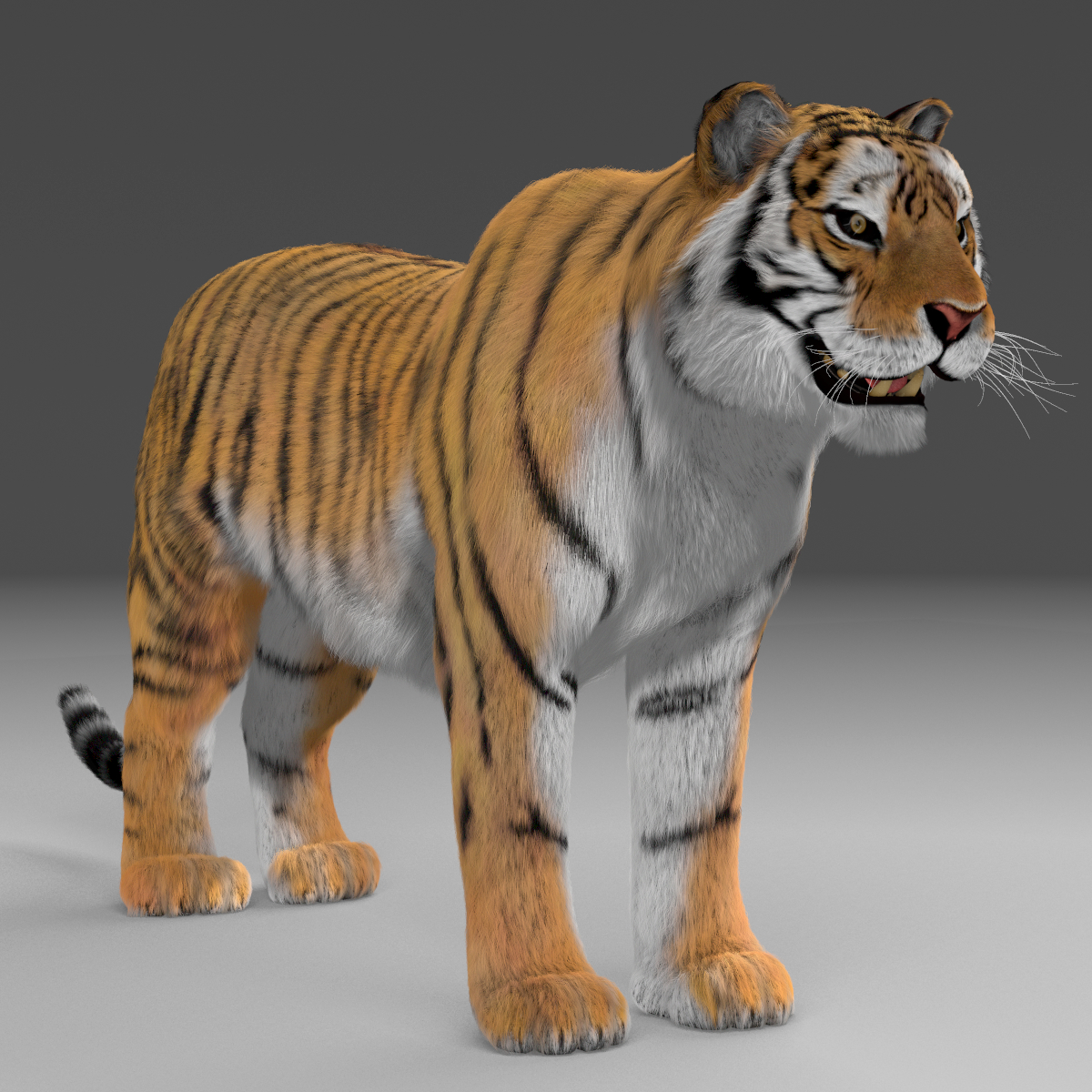 老虎(毛皮)3d模型