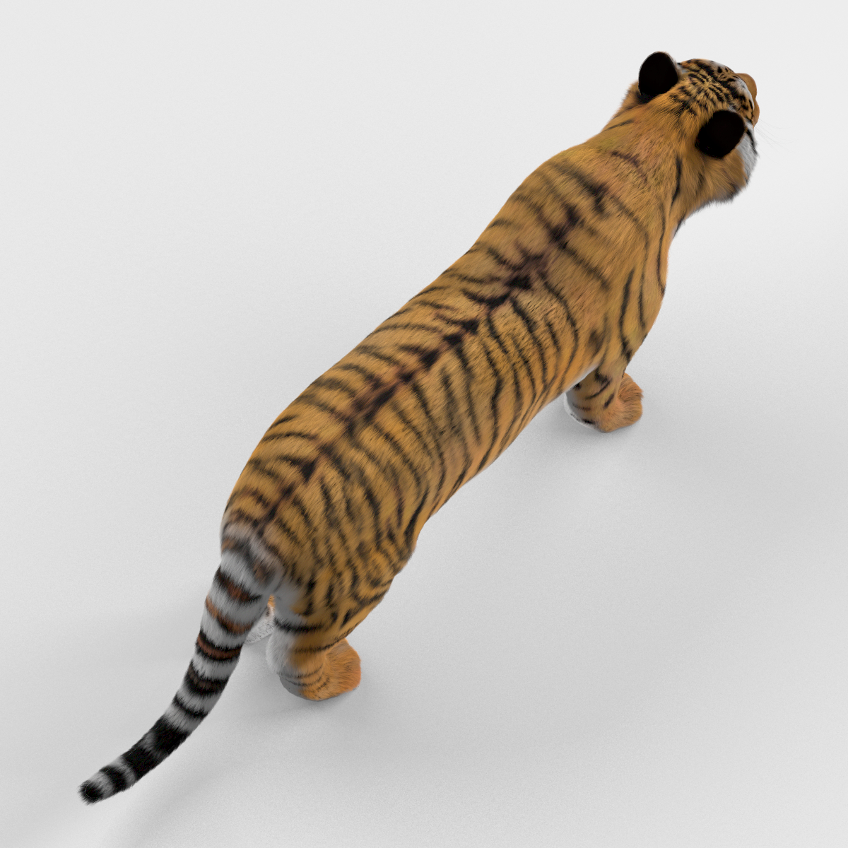 老虎(毛皮)3d模型