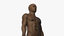 african male anatomy 3D model