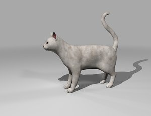white catty rigged gift 3D model