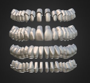 3D model dental anatomy library thimble