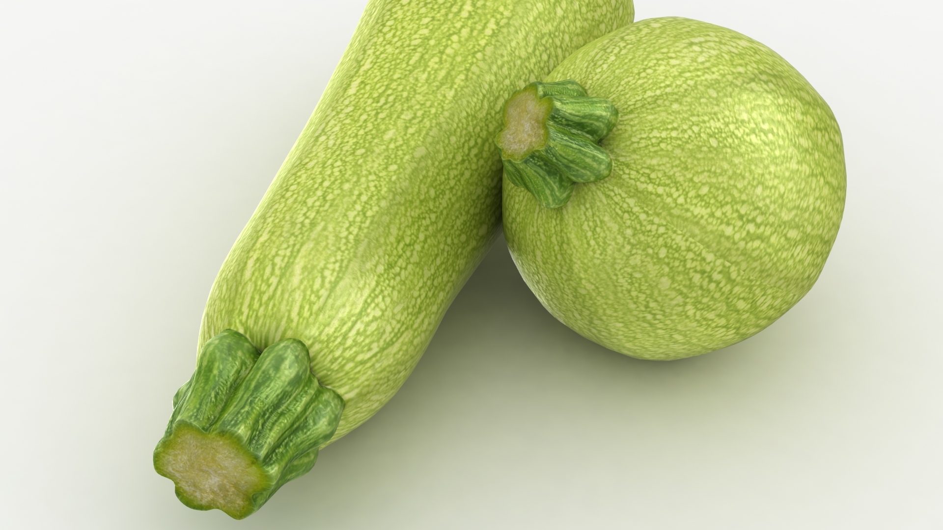 3d realistic zucchini model