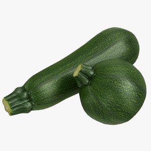 3D realistic zucchini green