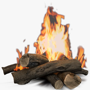 camp flame 3D model