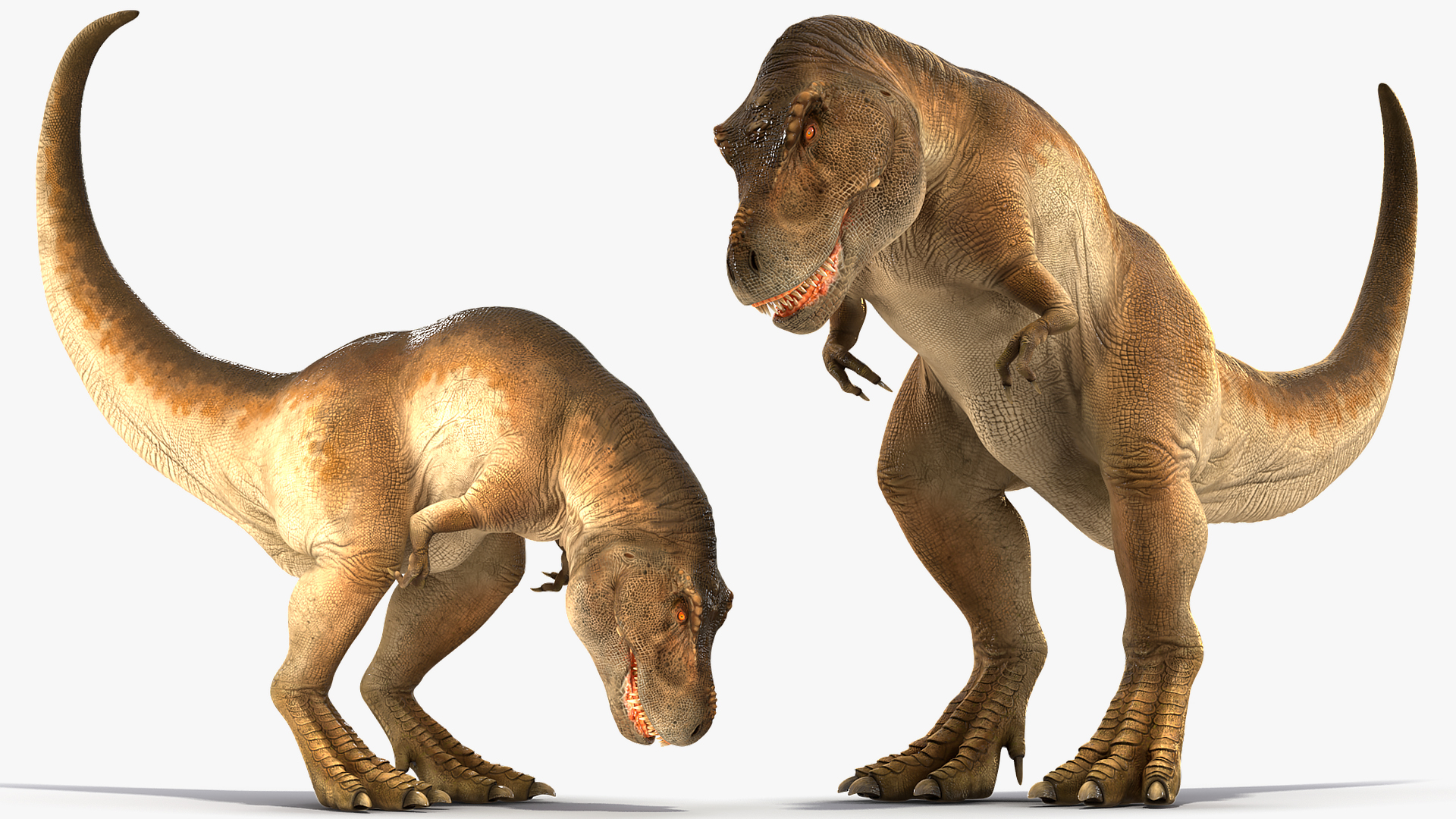 动画的霸王龙吃索具3d模型