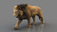 3D lion fur animation