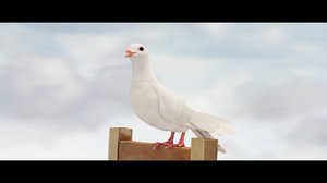 rigged dove 3D model