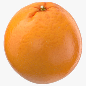 3D model orange