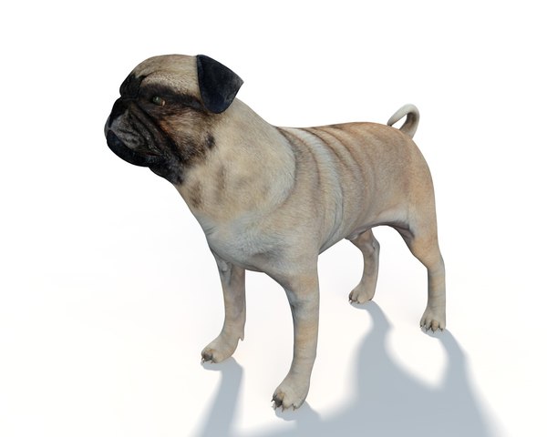 Pug 3D Models for Download | TurboSquid