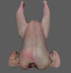 3D chicken raw model