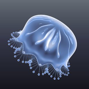 3D realistic jellyfish