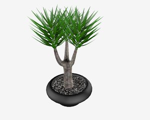 yucca pot 3D model