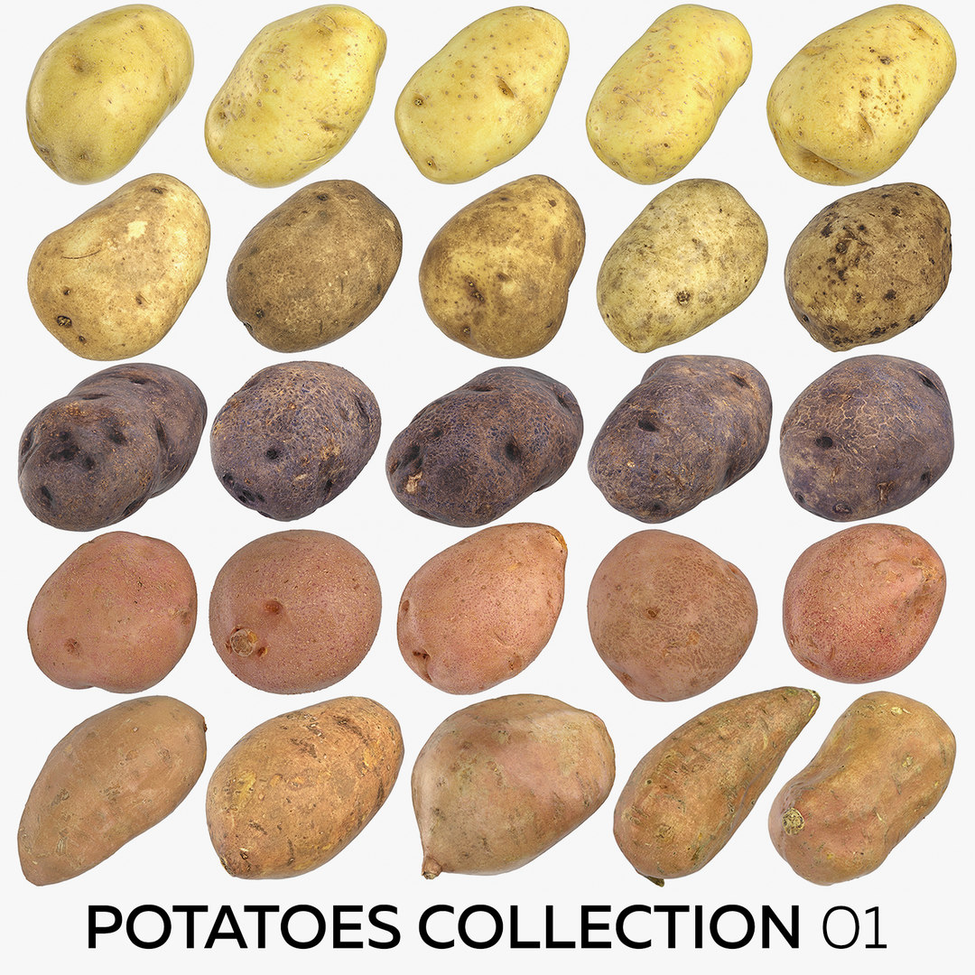 Potatoes 01 - 25 3D model - TurboSquid 1460397